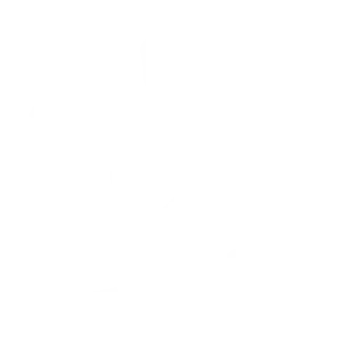 rehabilitation