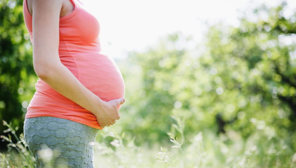 naturopathy for fertility oakville naturopathy for fertility oakville